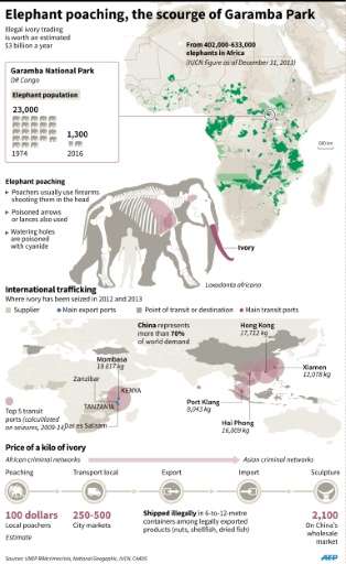 Ivory poaching, the scourge of Garamba Park