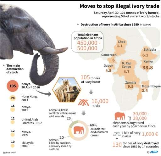 Kenya prepares to burn its ivory stockpile
