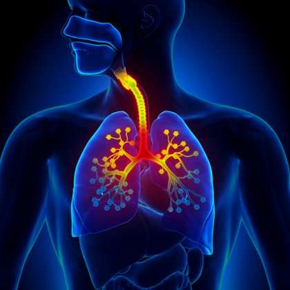 Laboratory drug trials could lead to asthma treatment breakthrough