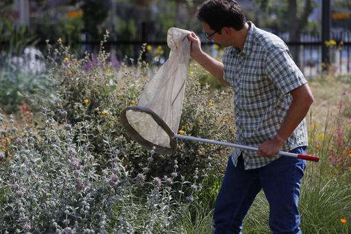 LA museum enlists volunteers in search for bugs, plants