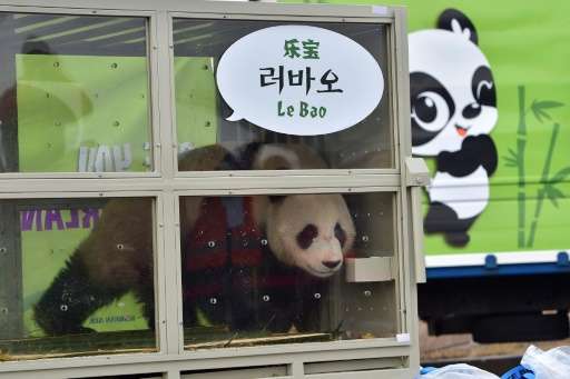 Chinese pandas given by President Xi arrive in South Korea