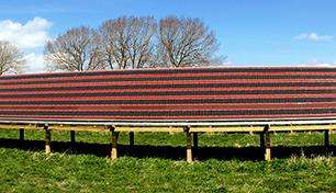 Let's roll: Material for polymer solar cells may lend itself to large-area processing