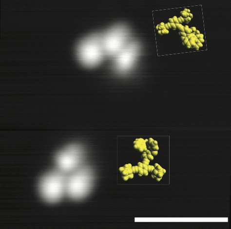 Light drives single-molecule nanoroadsters
