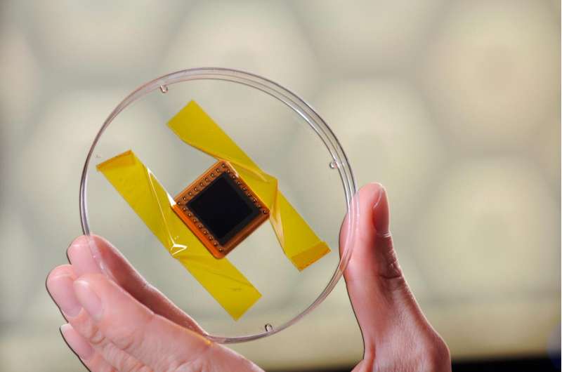 Light-trapping 3-D solar cells undergo space testing