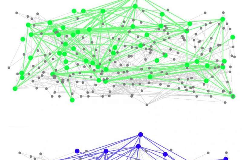 Like air traffic, information flows through neuron 'hubs' in the brain, finds IU study
