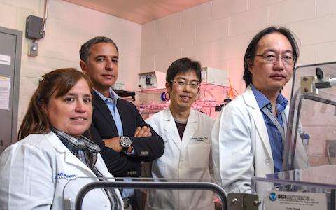 Low-oxygen environment leads to heart regeneration in mice, UTSW research shows