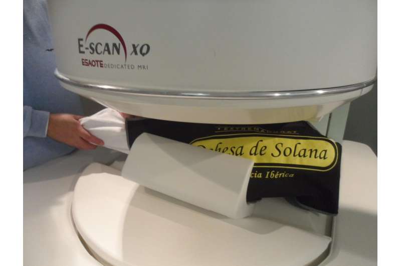 Magnetic Resonance Imaging to predict the salt content of Iberian ham