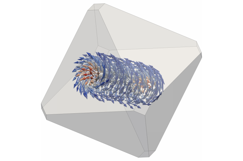 Magnetic vortices defy temperature fluctuations