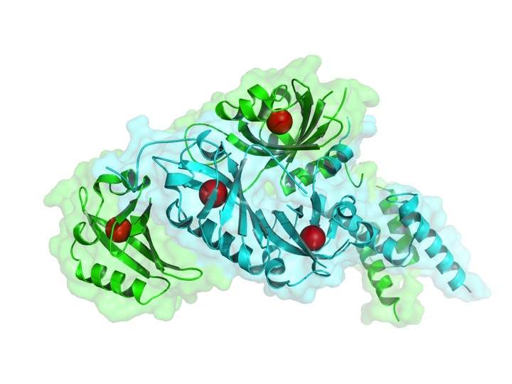 Major family of gene-regulating proteins has drug-sized pocket