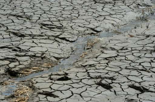 Malawi has declared a national disaster due to food shortages caused by drought