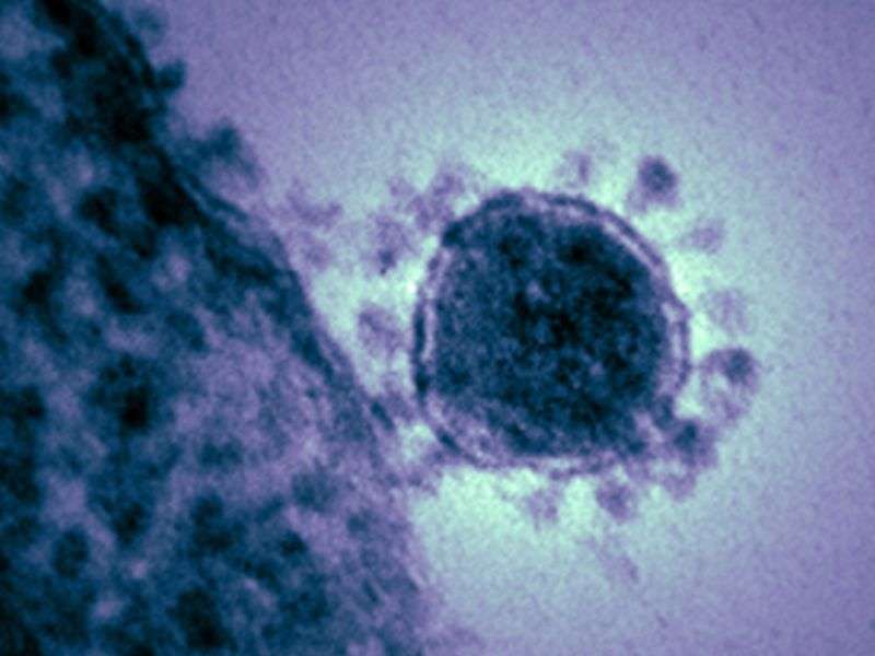 Many cases of MERS-CoV are health care-associated