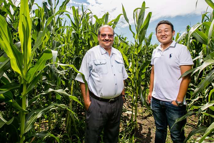 Measure of age in soil nitrogen could help precision agriculture