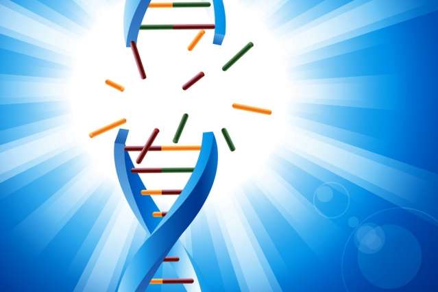 Measuring DNA repair capability can reveal tumors’ sensitivity to drugs