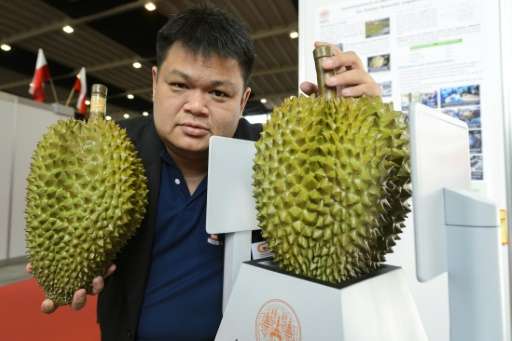 Member of an inventor team, Sorawat Chivapreecha of Thailand, shows a durian fruit placed onto a microwave sensor for maturity i