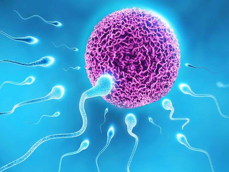 Men don't know about risks to fertility, survey finds