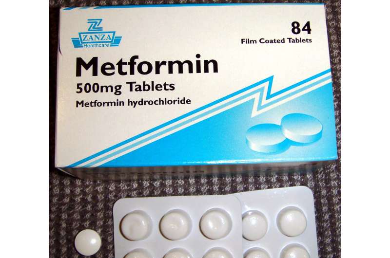 Metformin use reduces risk of death for patients with COVID-19 and diabetes thumbnail