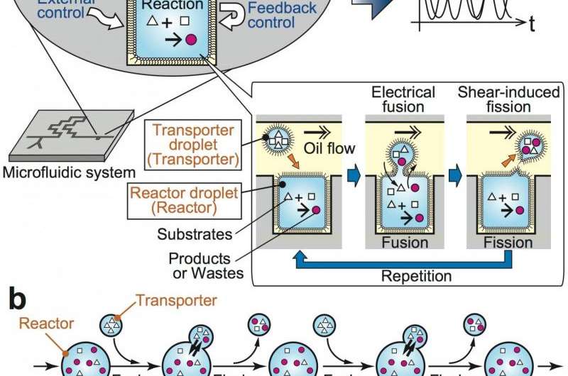 Microdroplet reactors mimic living systems