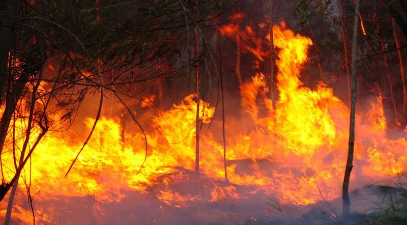 Modeling could predict future bushfire danger