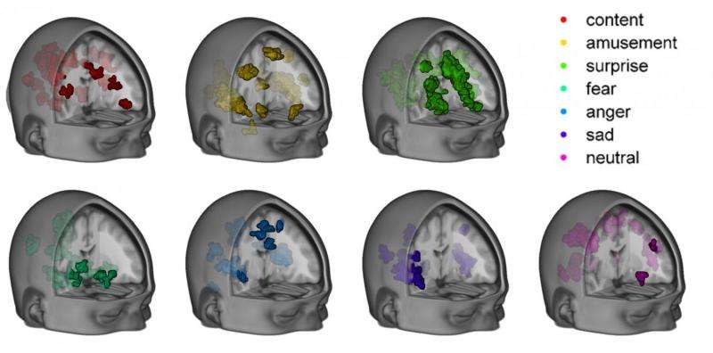 核磁共振扫描仪可以看到情绪在一个空闲的头脑中闪烁