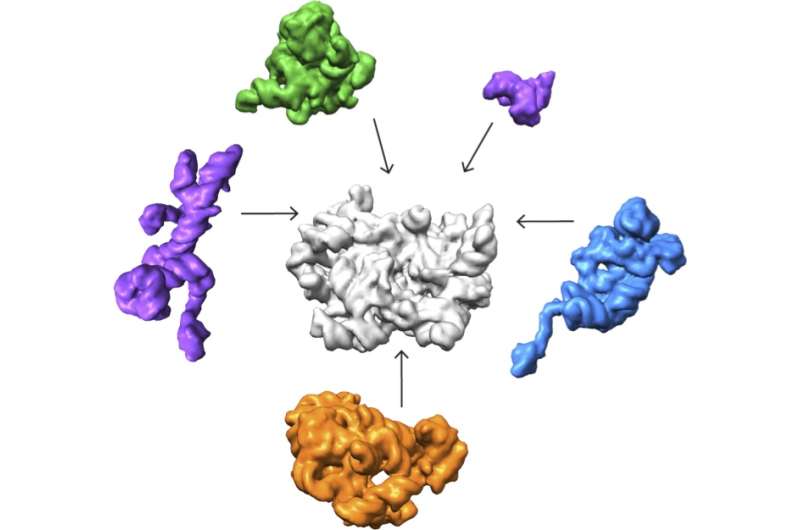 Multi-institutional collaboration uncovers how molecular machines assemble