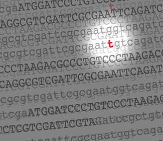 Mutations in bladder tumor genomes reveal roles of DNA repair and tobacco-related DNA damage