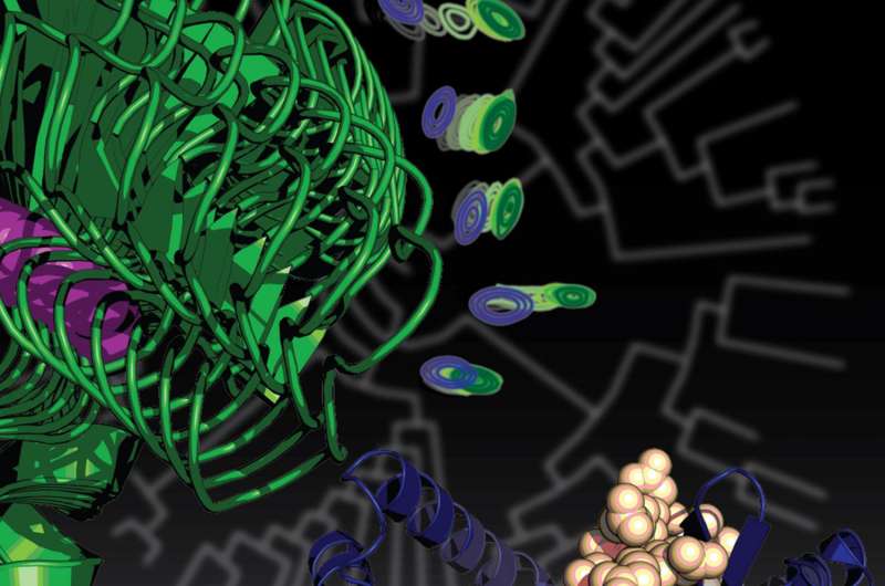 Mutation that triggered multicellular life altered protein flexibility