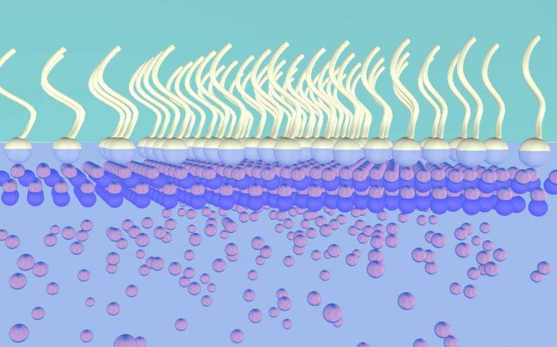 Nanosheet growth technique could revolutionize nanomaterial production