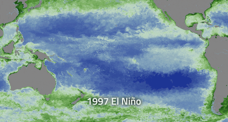NASA examines El Nino's impact on ocean's food source