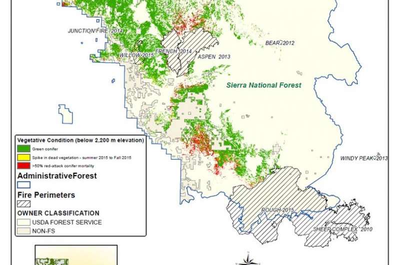 NASA maps California drought effects on Sierra trees