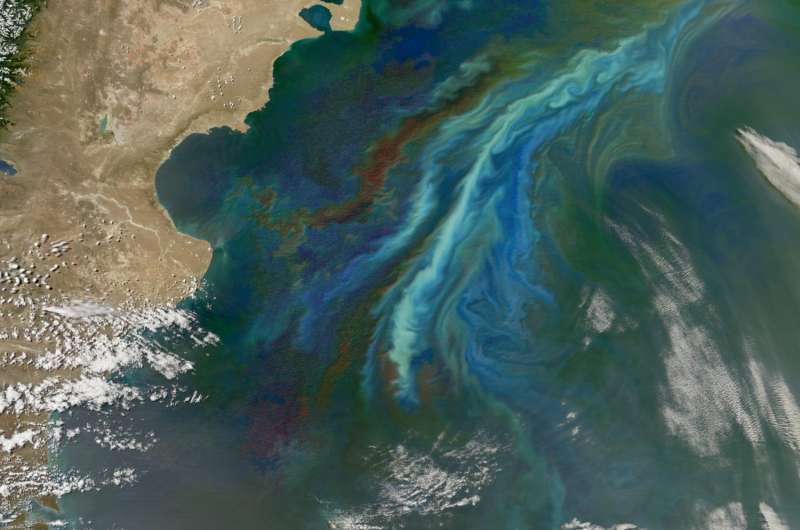 NASA's PACE mission will uncover new information about health of our oceans