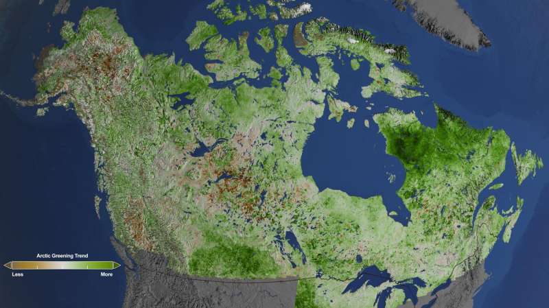 NASA studies details of a greening Arctic