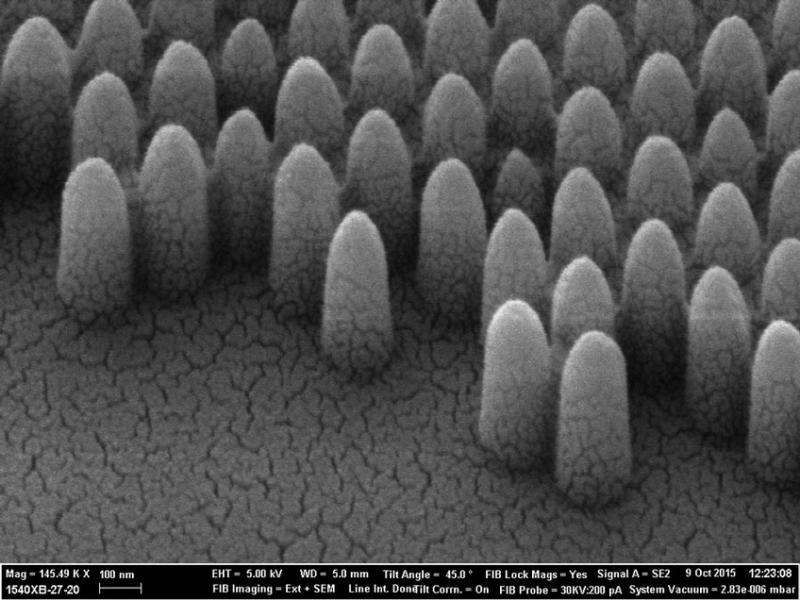 Nature inspired nano-structures mean no more cleaning windows