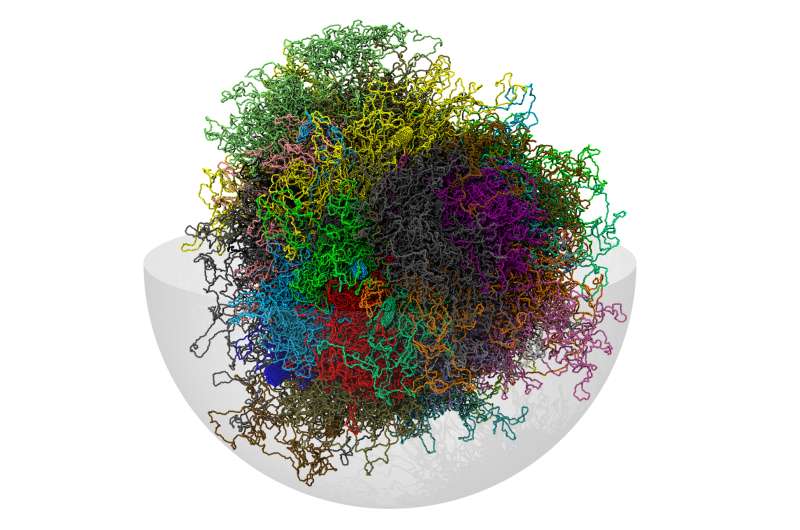 'Neighbor maps' reveal the genome's 3-D shape