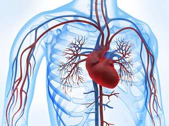 New drug more effective in treating atrial fibrillation