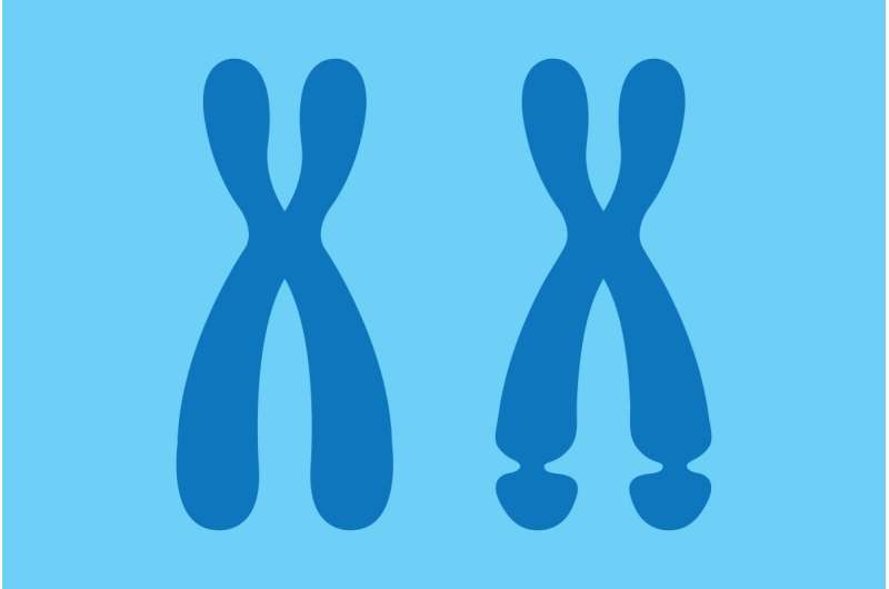 New explanation offered for symptoms of fragile X syndrome