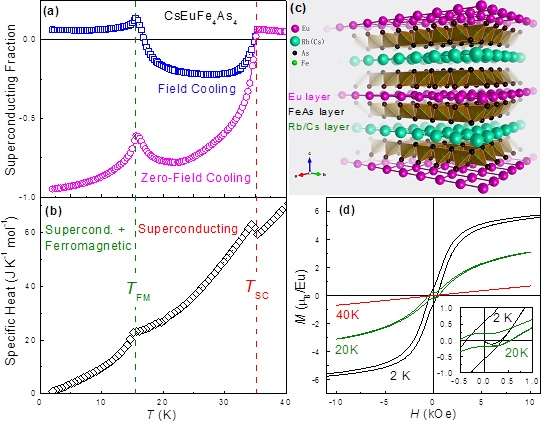 New ferromagnetic superconductors AEuFe4As4 (A = Rb, Cs)