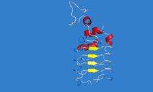New gene variants present in three percent of all ALS patients