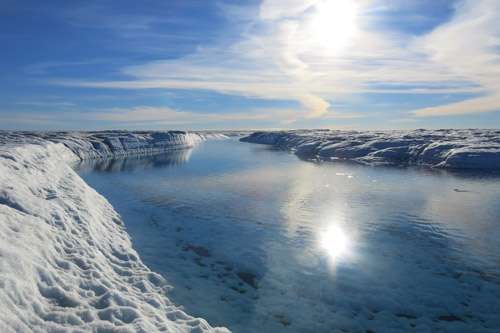 New genome reveals how Arctic microbes survive in cold extreme habitats