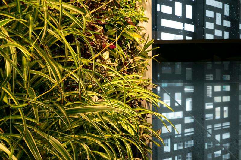 New guide a world-first template for greening urban roofs and walls