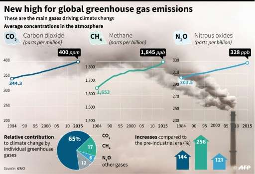 New high for global greenhouse gas emissions