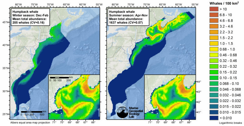 New maps reduce threats to whales, dolphins