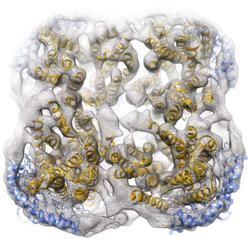 New nanoparticle technology to decipher structure and function of membrane proteins