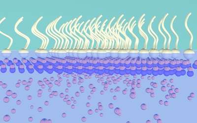New nanosheet growth technique has potential to revolutionize nanotechnology industry