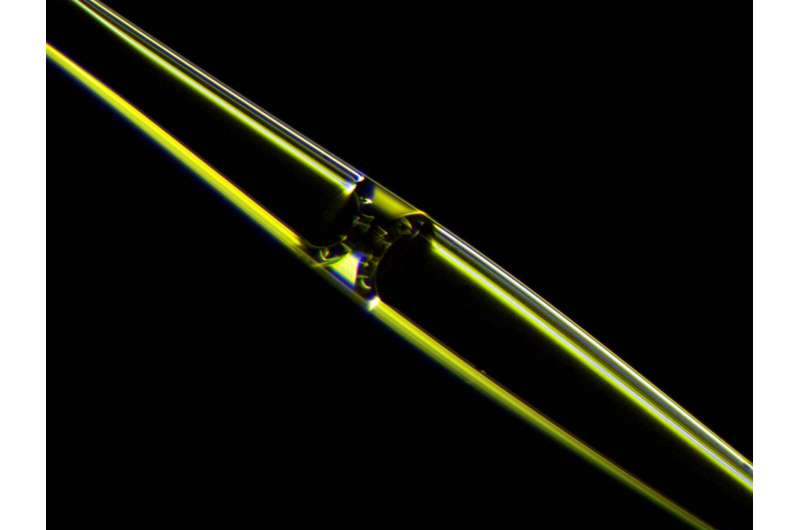 New photonic sensor opens the door to high-speed biodetection