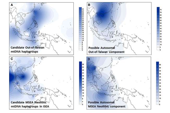 New research into the origins of the Austronesian languages