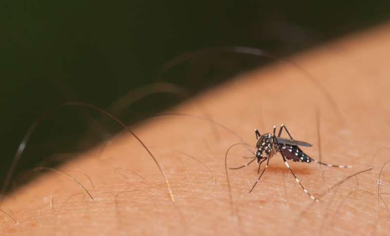 New scientific evidence of sexual transmission of the Zika virus