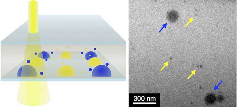 New tool allows scientists to visualize 'nanoscale' processes