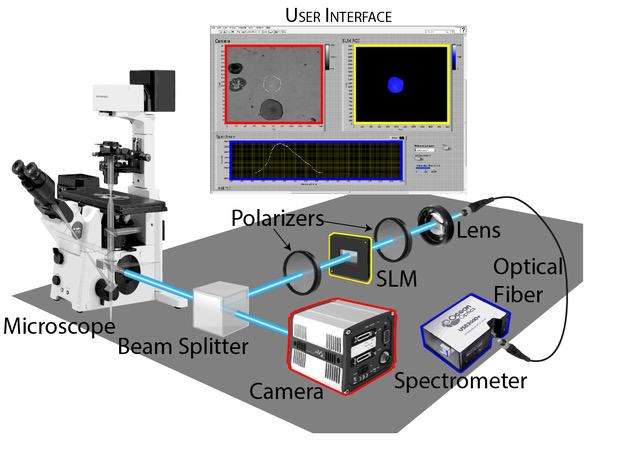 New tool enables viewing spectrum from specific structures within samples