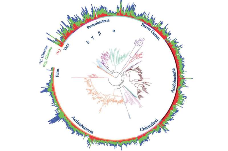 New tool reveals role of ancestry in soil communities of bacteria