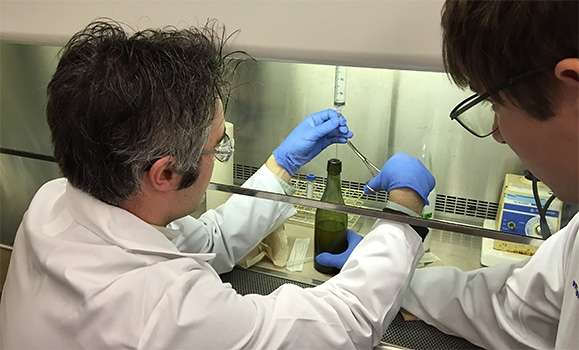 New year, old beer—professor helps test century‑old brew